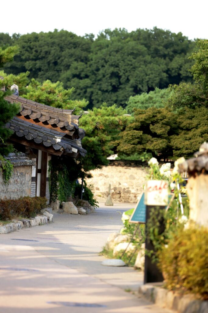 기와지붕 한옥과 돌담, 소나무가 어우러진 경주 교촌마을의 조용한 골목길