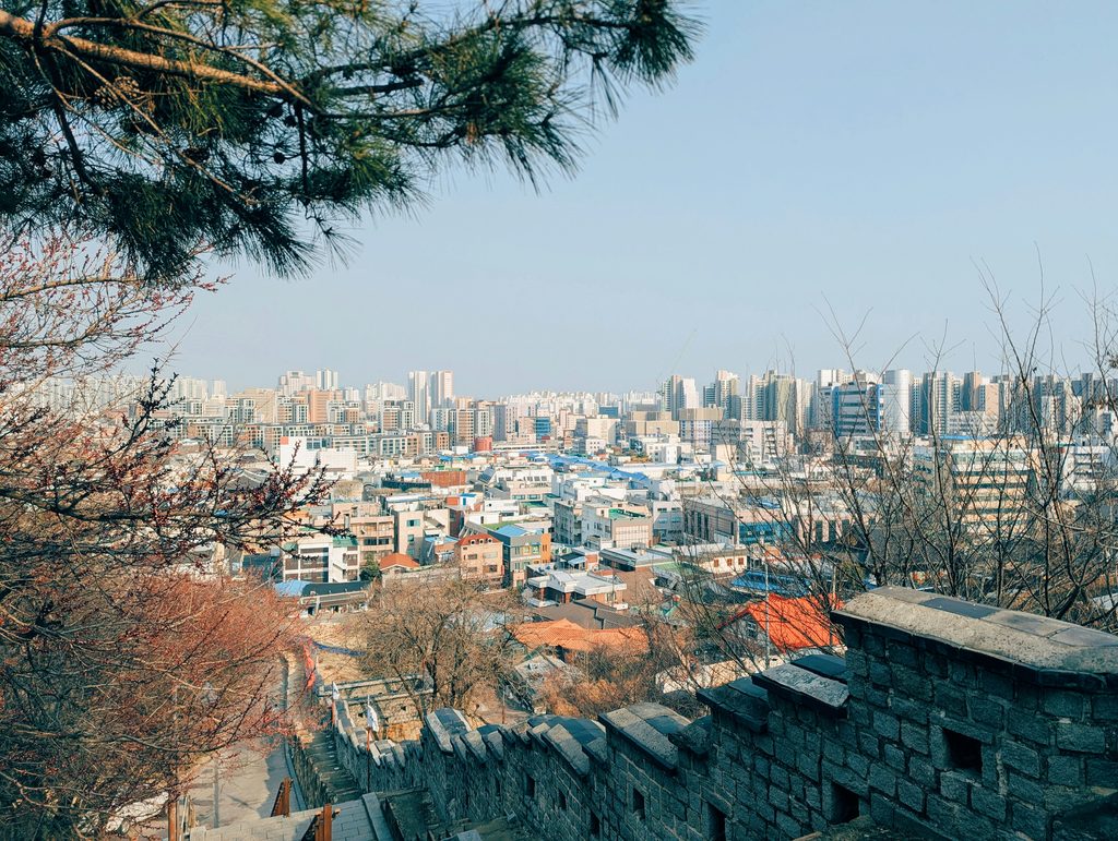 수원화성 성곽에서 바라본 수원 도심